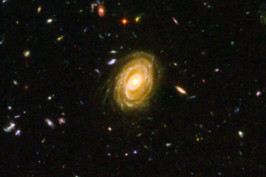 UCR Student Traces Star Formation Rates in Distant Galaxies