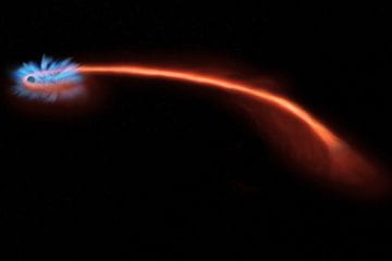 The ultimate fate of a star shredded by a black hole